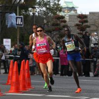 第39回大会 フォトギャラリー / 2020 Photo Gallery